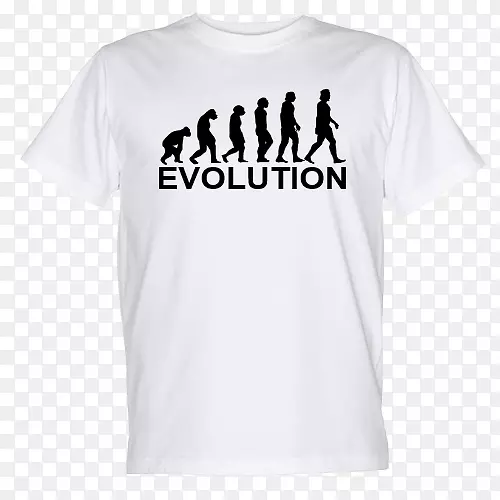 T�����ݱ��ñ������-������