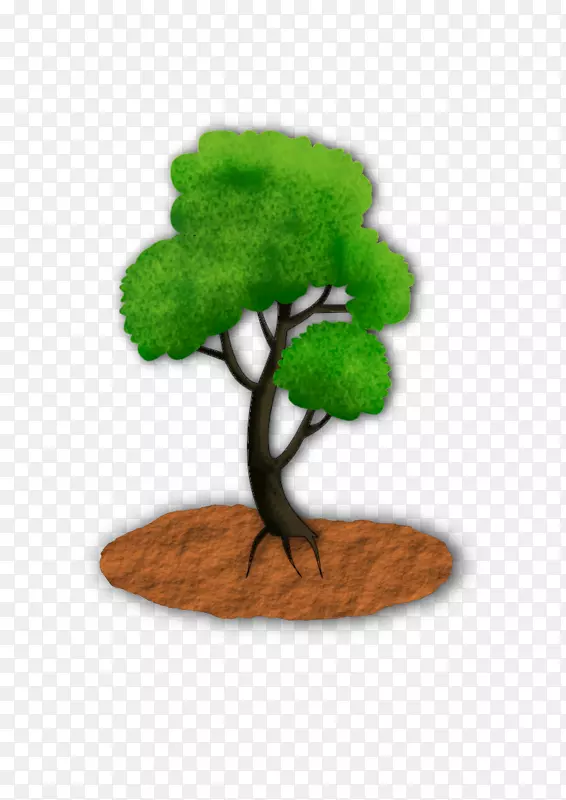 ������ֲ��-��-������