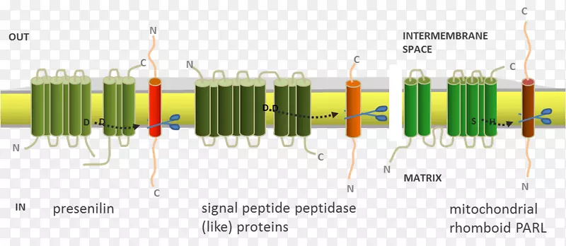 ��·���-������