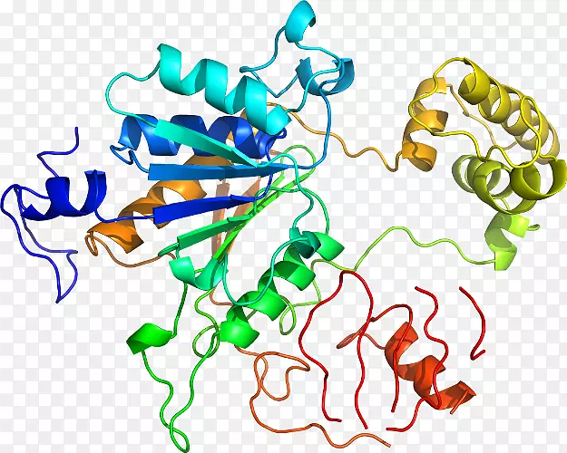 ����������Ϊ�ߵ��������-������