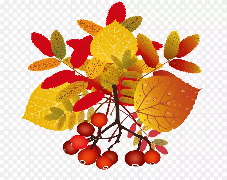 ��ֽ����-��Ҷ-������