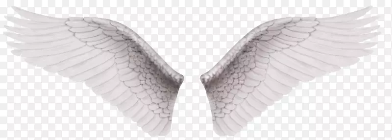 ��ɫ������-��ɫ���-������