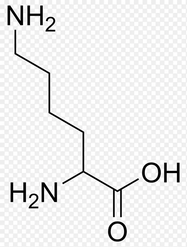 ��������֧����������谱����-������