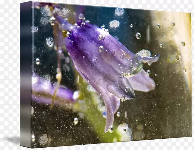 ����ˮ��������ѧ-������