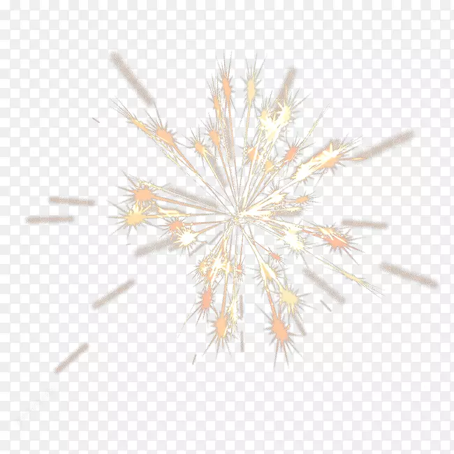 ��ɫ����-�̻�-������