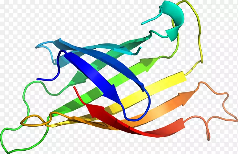 �ߵ�ƽ����Ƽ�������-������