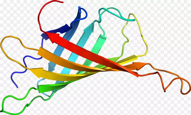 �ߵ������������-������