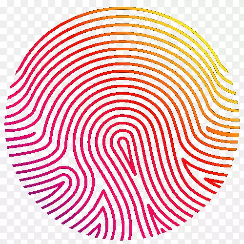 ָ������-������