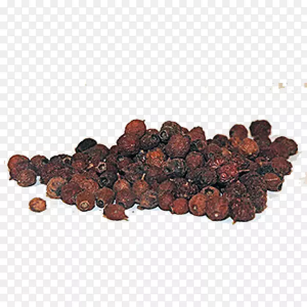 ɽ�-������