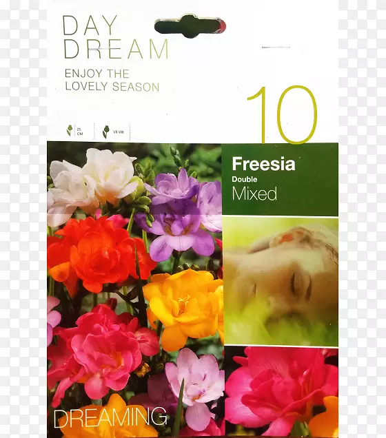 ������ƣ���ڷ������װٺ��۾�-������