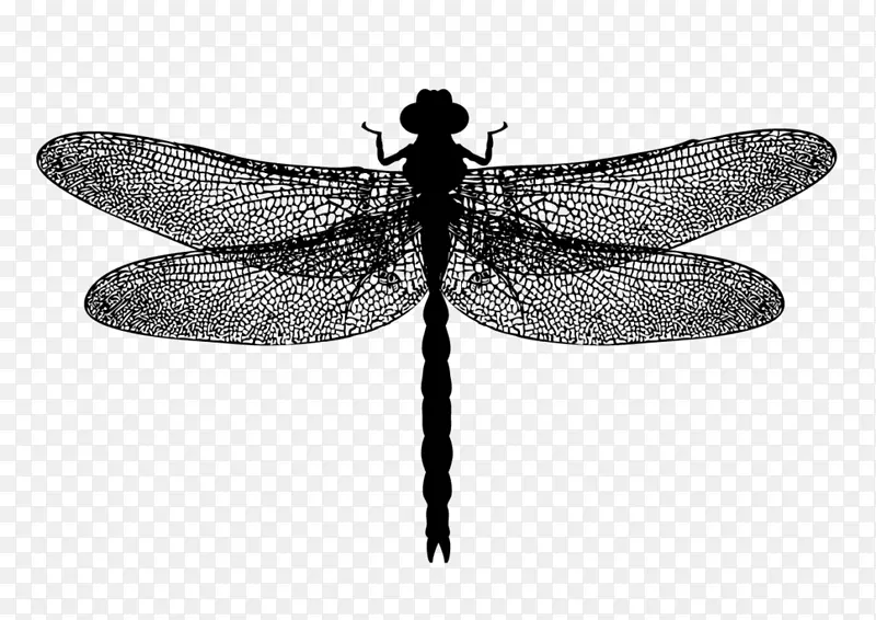 ������Ӱ-���-����-������