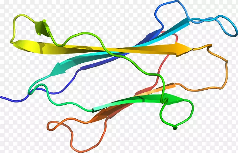 �ߵ������������-������