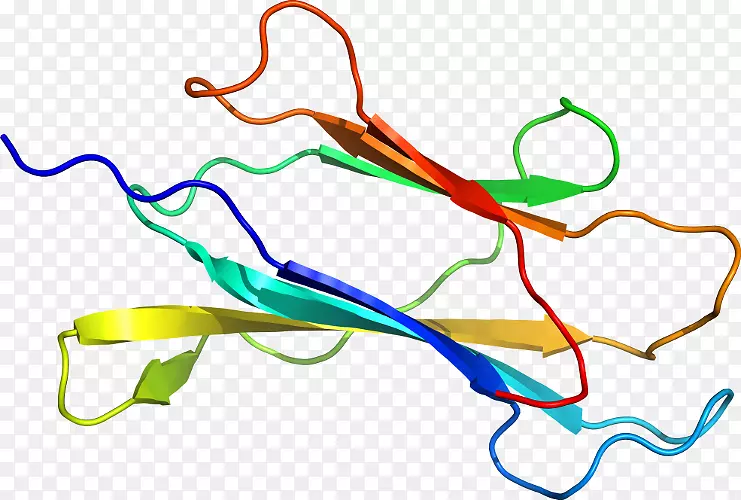 �ߵ������-��-������