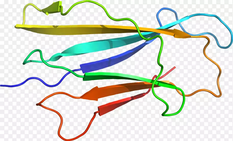 ֱ�ߵ�ֲ�ﾥ��������-������