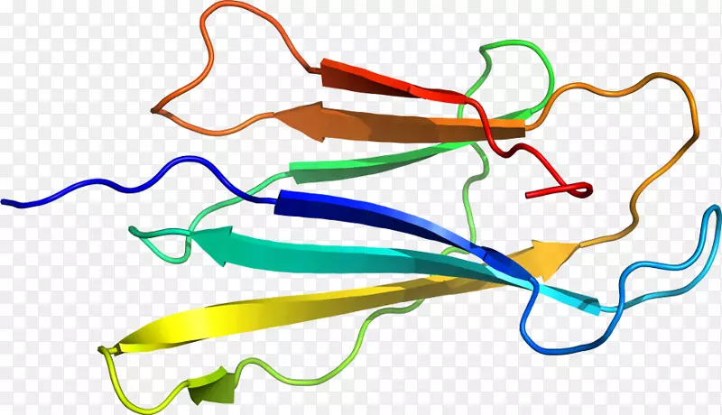 �ߵ������-��-������