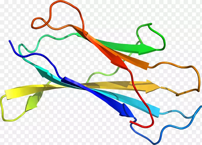 �ߵ������������-������