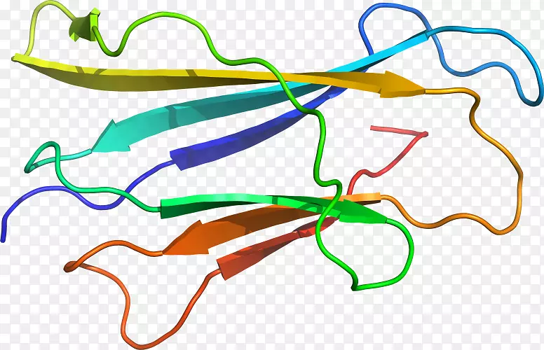 �ߵ������������-������