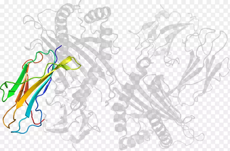 �滭ƽ��������������������-������