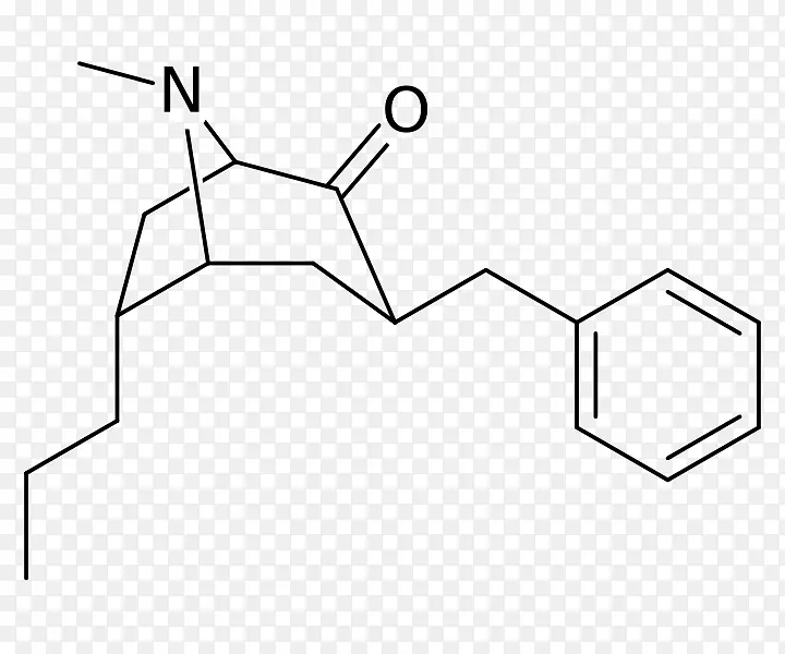 ���Խ���������л���������������-������