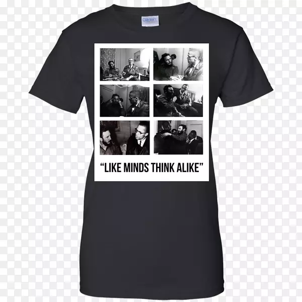 t��ñ����Ͳ����-������