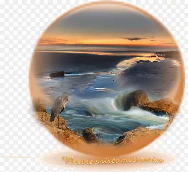 ���Ĳ���/m/02j71.net-1439-������