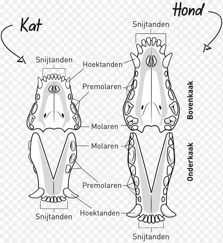 ��ָ��������-������-������