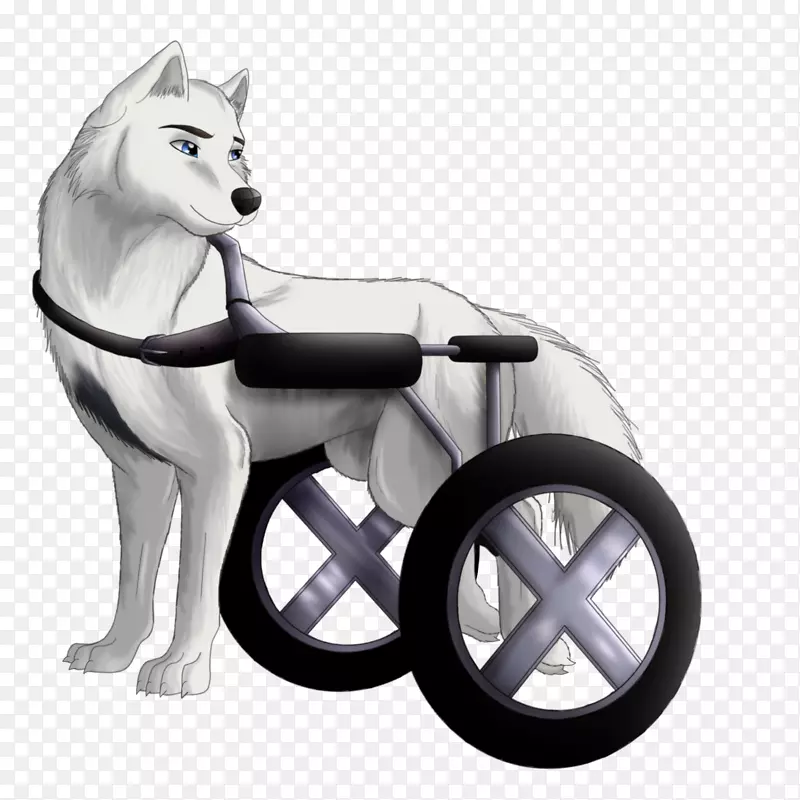 ����������-���˹����ά��-������