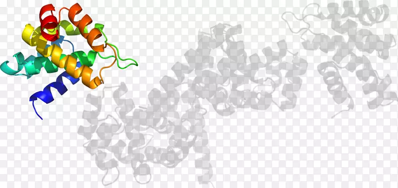 �ߵ������-��-������