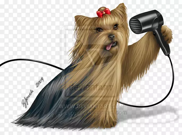 Լ�˿���Ȯ�Ĵ�����˿����Ȯ������Ȯ�����ߵذ׹���ȮԼ�˿���Ȯ-������