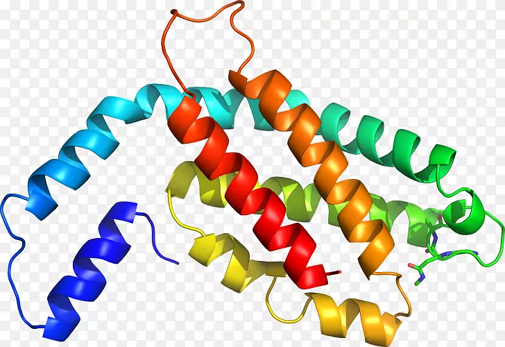 ʳƷ���μ�����.�鱦-������