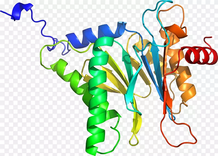 �ߵ������������-������