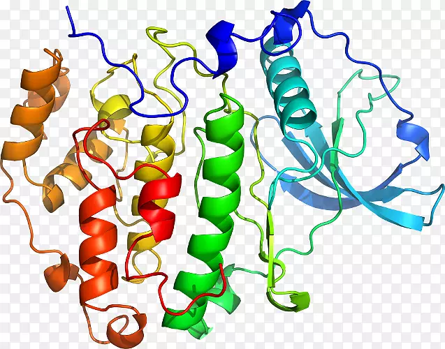 ������Ϊ�л����ߵ��������-������