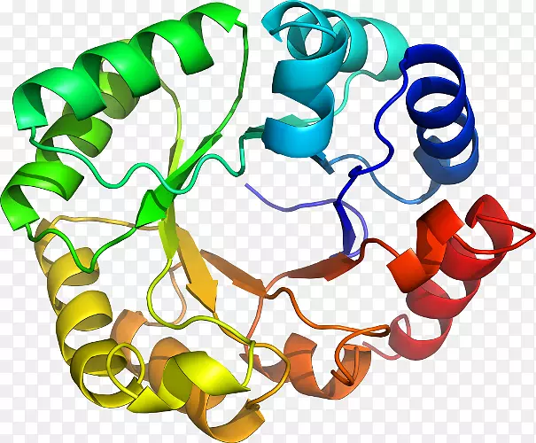 �����鱦�л��������.�鱦-������