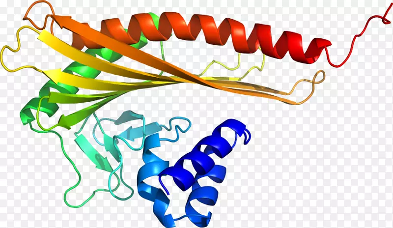 �ߵ������������-������