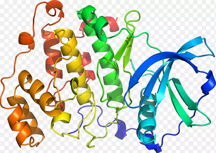 ���������л����߼�������-������