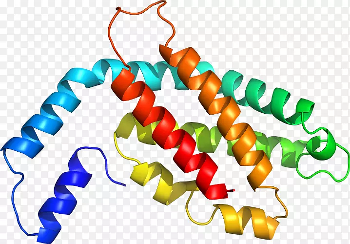 ʳƷ����ϵ�м�����ϵ��-������