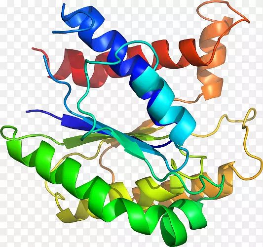 ���������л����߼�������-������