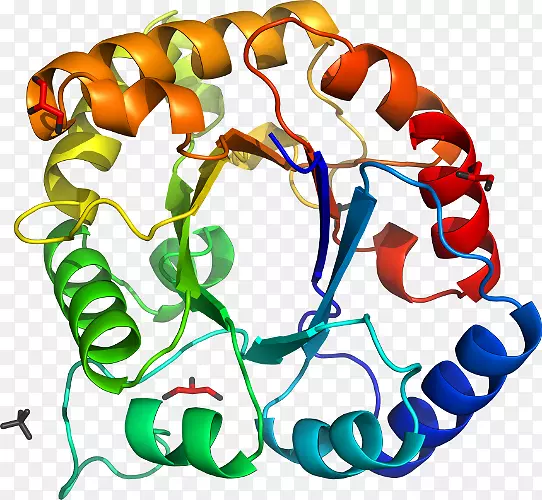 ���������л����߼�������-������