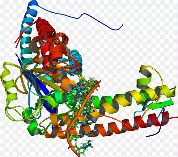 ƽ��������������鱦���������-������