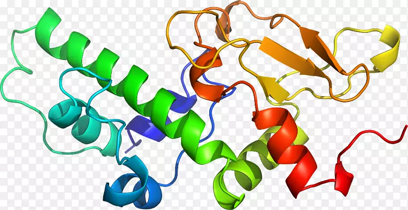 �ߵ������������-������