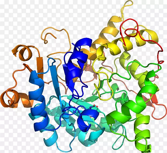 �����鱦���л����������-������