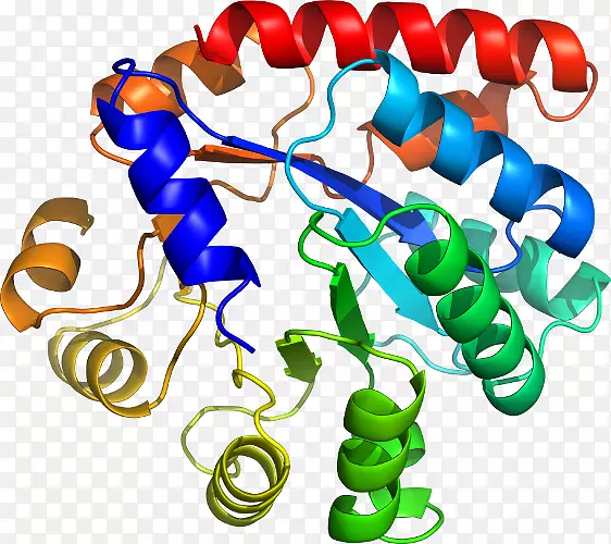 ���������л����߼�������-������