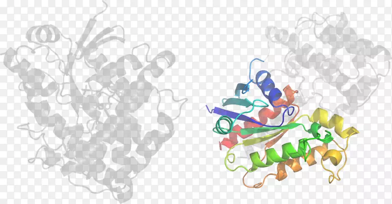 �����鱦������.���-������