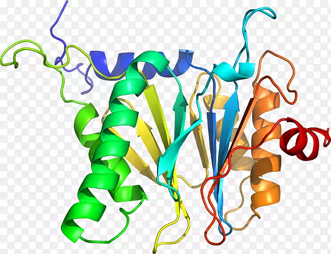 ֲ�ﾥ���鱦�߼�������-������