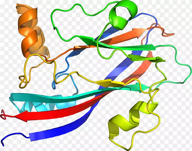 �ߵ������������-������