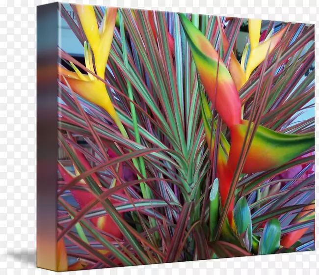 �ִ��������ִ������ݻ�-������