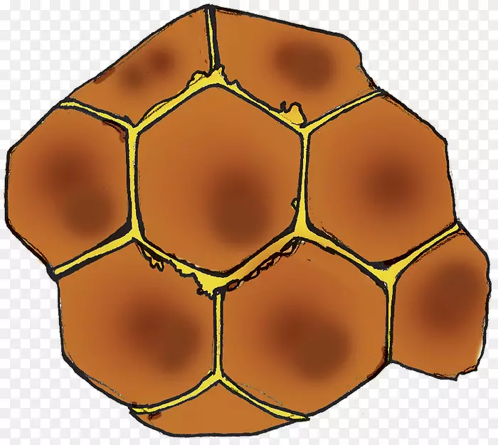 �Գ���������-������