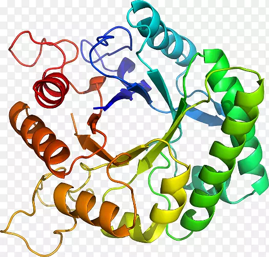 ���������л����߼�������-������