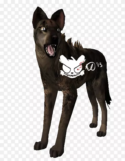 ������Ȯ�Ĵ����ǽ�����ǰ��๷-������