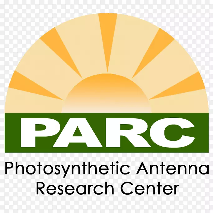 Shaukat Khanum���֢ҽԺ���о�����ҽ��Shaukat KhanumҽԺ·-parc-������